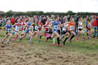 Girls under-13s Start Fitness North Eastern Harriers League, Wrekenton, Gateshead. Photo:  David T. Hewitson/Sports for All Pics